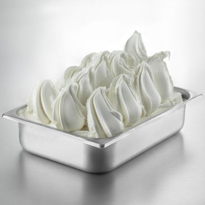 Obrázek RICOTTA PASTA 2 x 5 kg (obj)